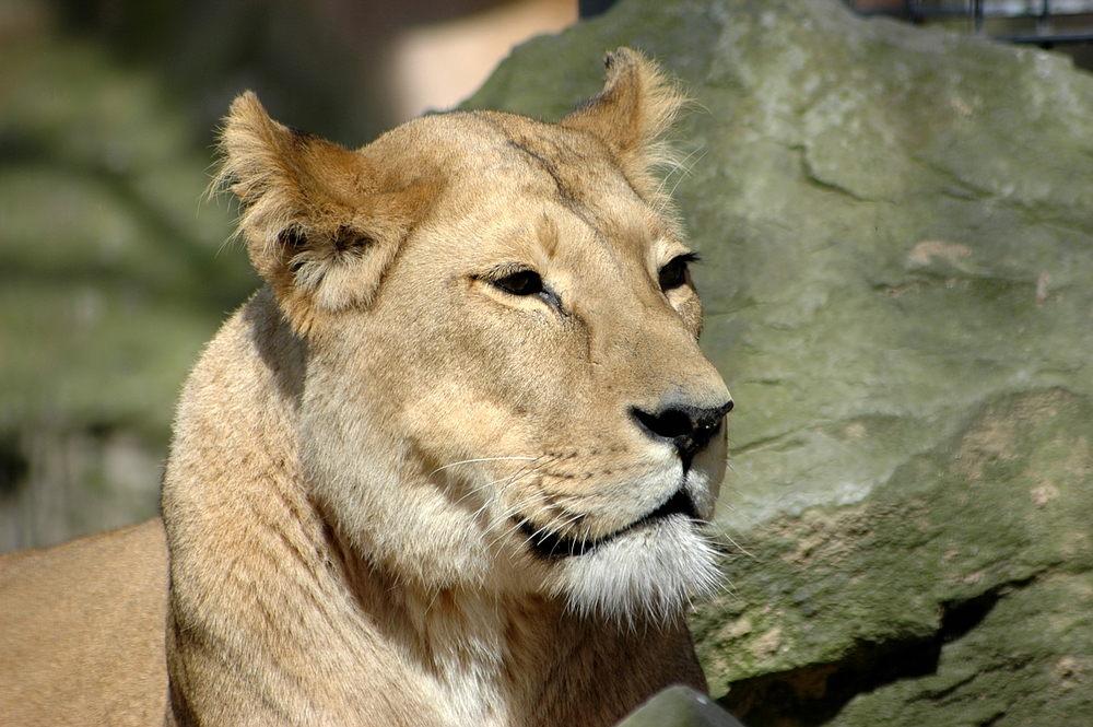 Ene Besuch im Zoo