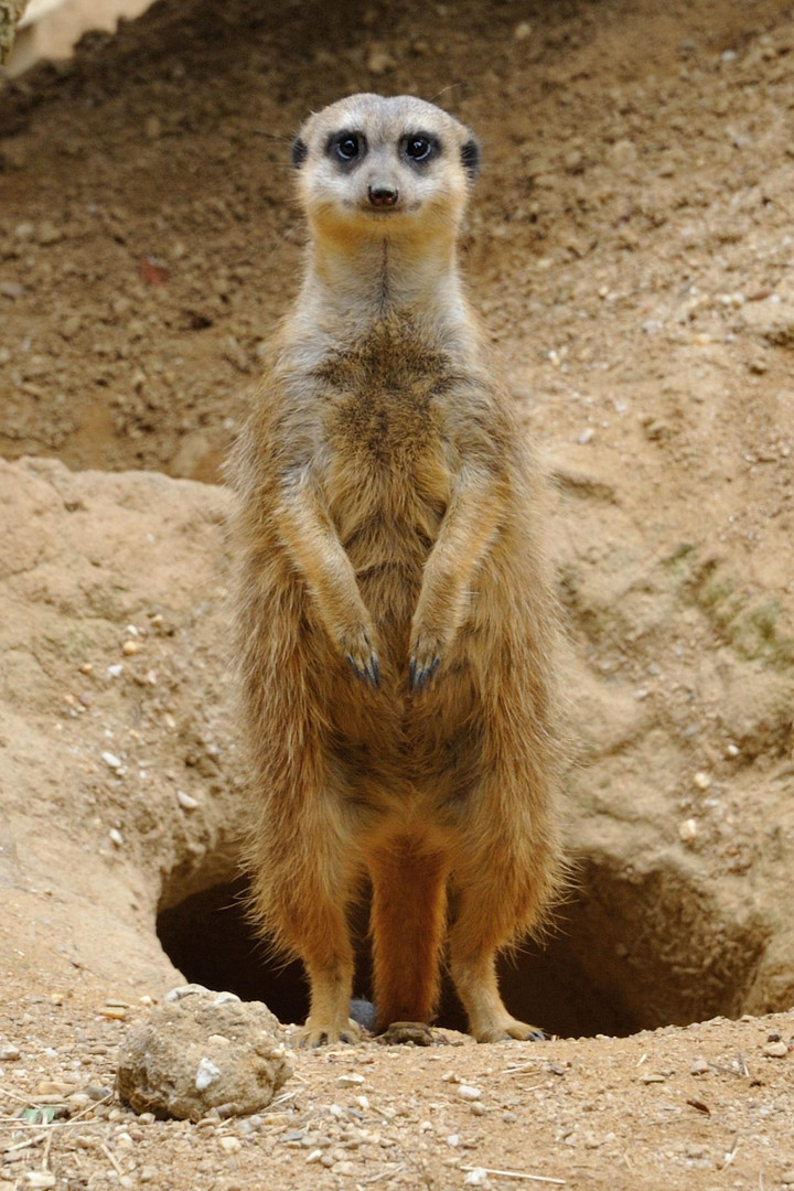 Ene Besuch im Zoo