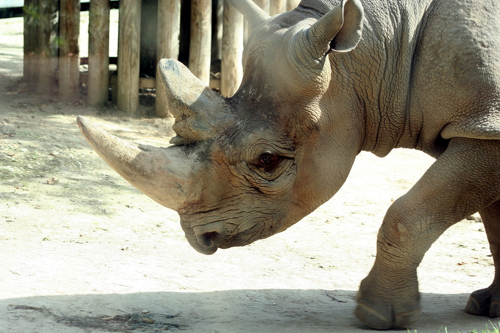 Ene Besuch im Zoo