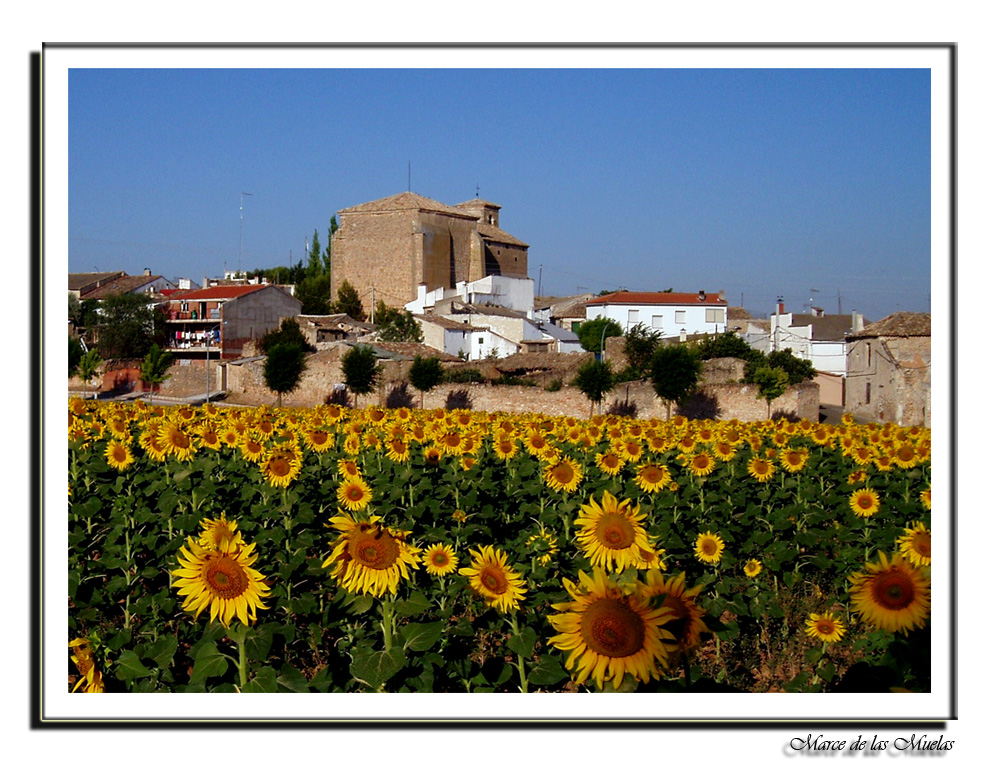 Energia solar ( Saceda-Cuenca )