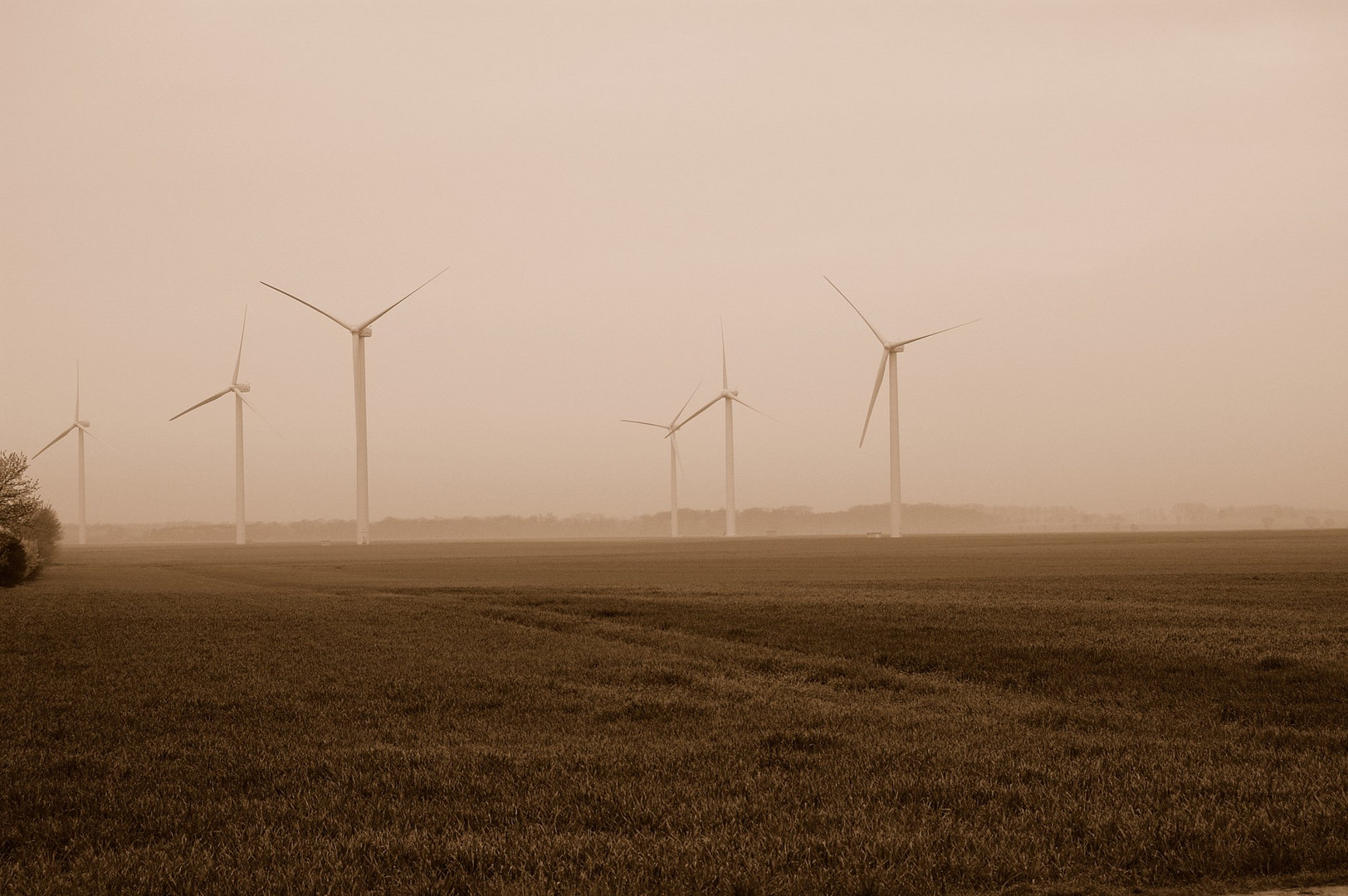 Energie am Morgen