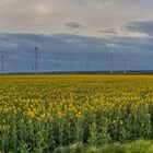 Energie aus der Natur