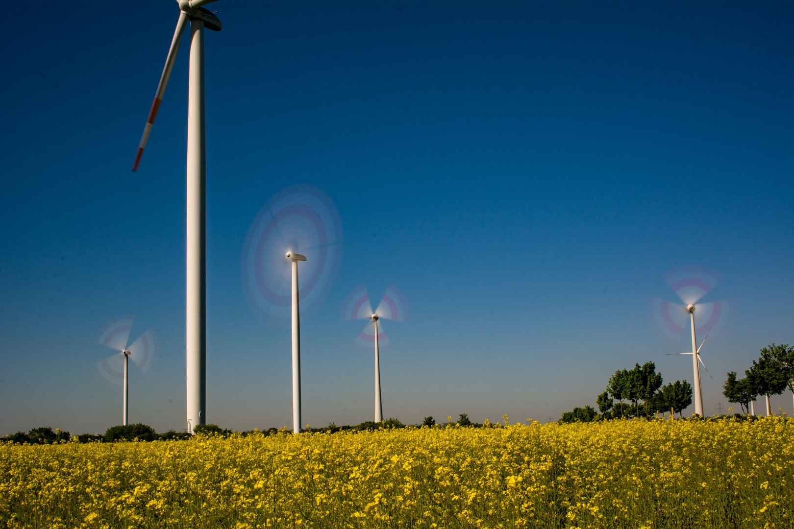 Energie aus Wind und Raps