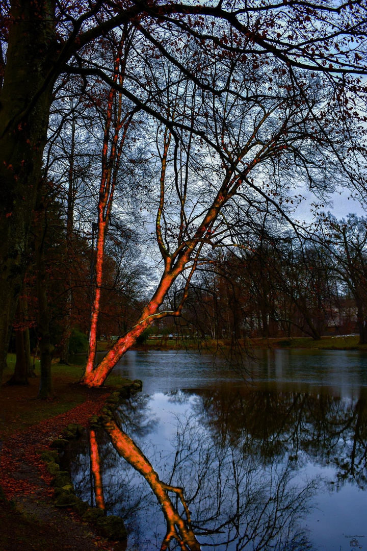 Energie Baum