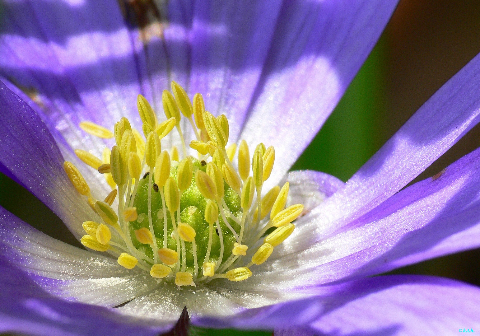 Energie der Farben