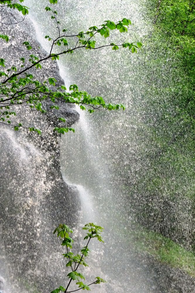 Energie des Wassers von Gita Puzeckaite 