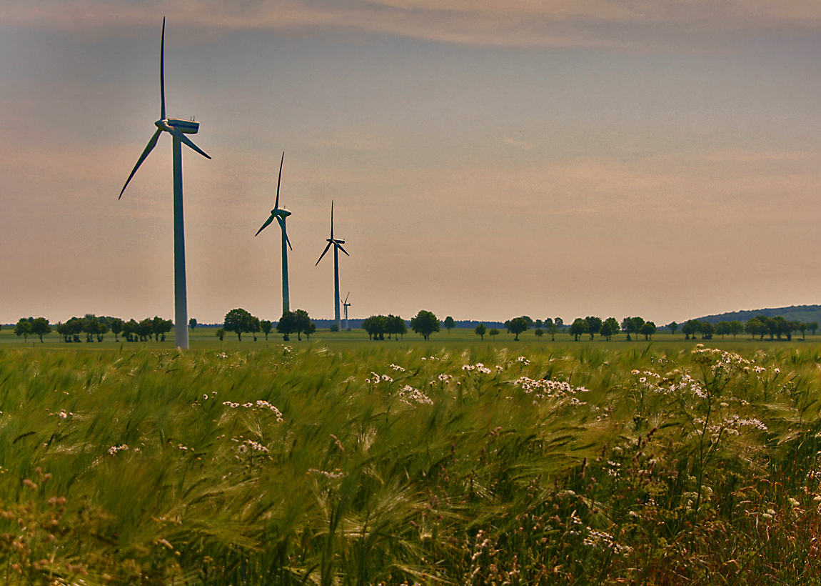 Energie im Grünen...