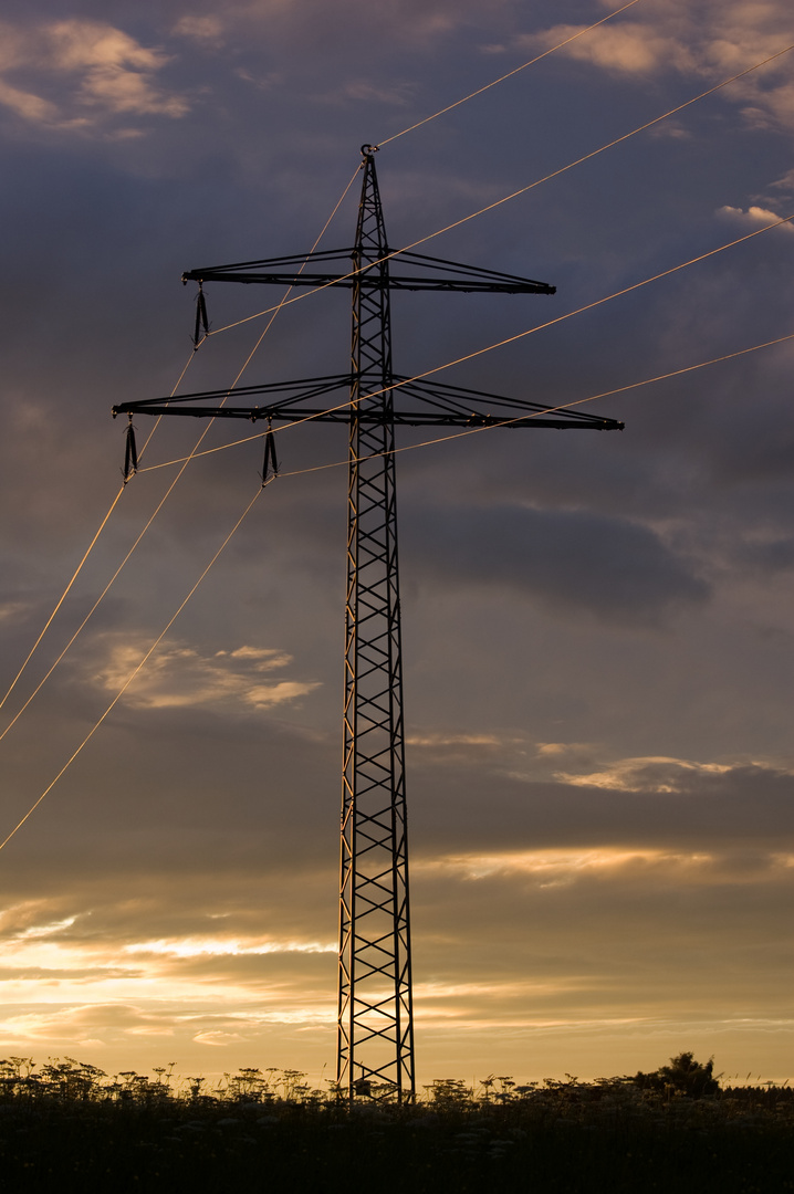 Energie im Streiflicht