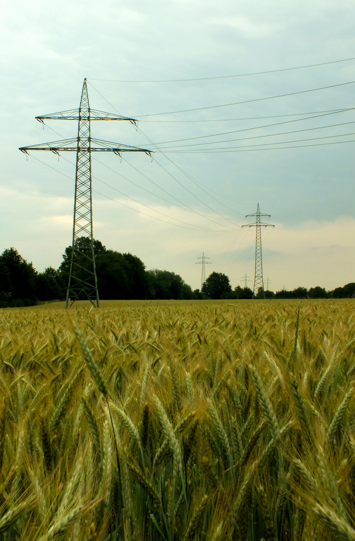 Energie & Landwirtschaft