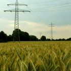 Energie & Landwirtschaft