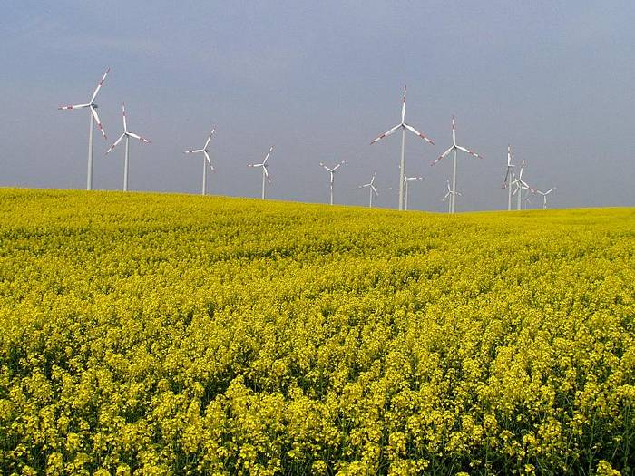 Energie soweit das Auge reicht