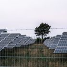 Energie und Baum hinter dem Zaun