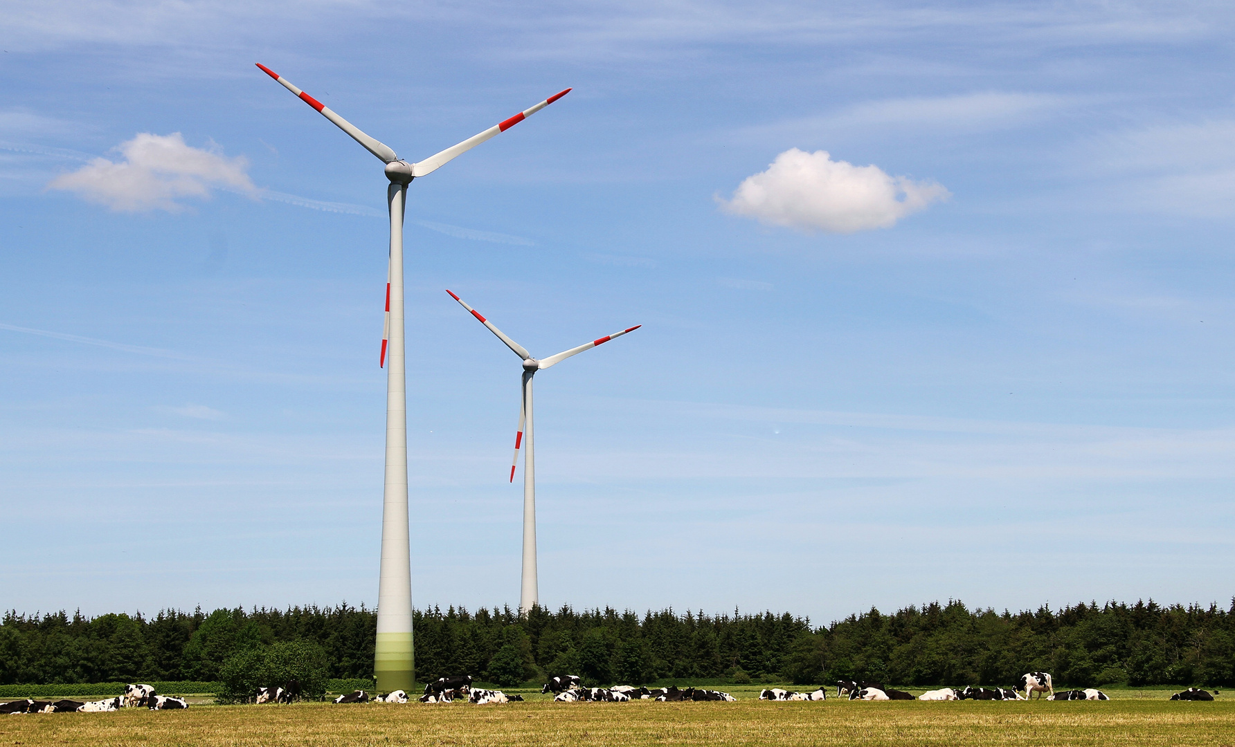 Energie und Milchprodukte