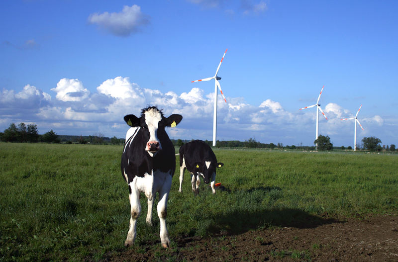 Energie zweifach. Windräder u. Gülle