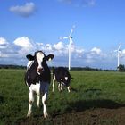 Energie zweifach. Windräder u. Gülle