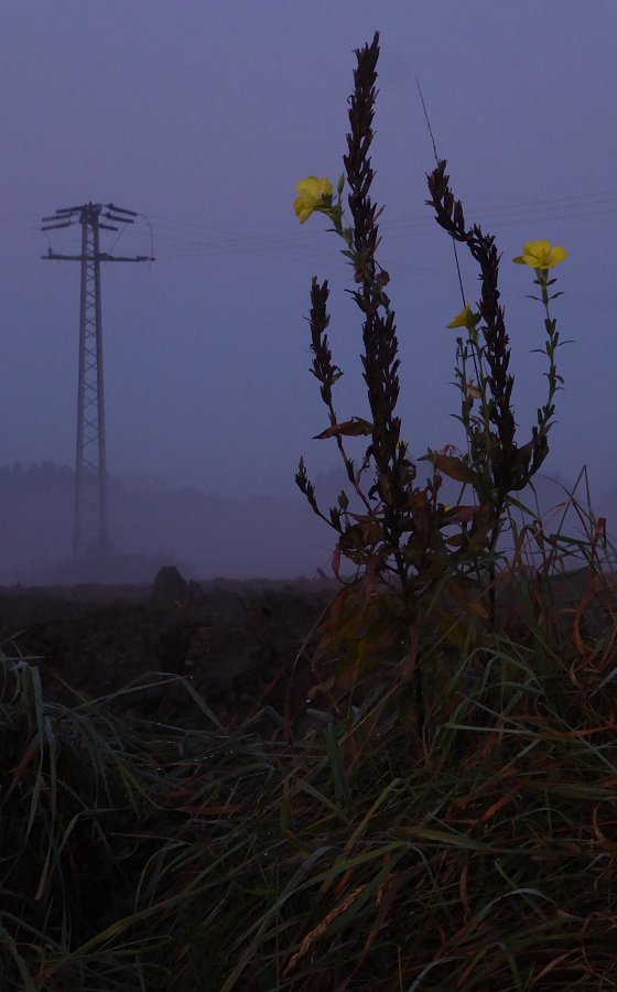 Energiegeladen