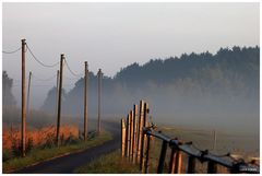 Energiegeladen in den Tag