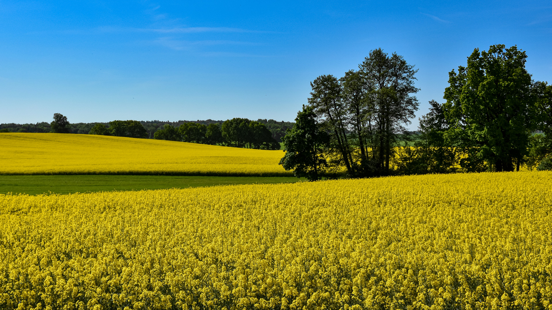 Energielandschaft