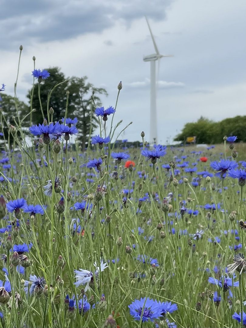 Energiewende