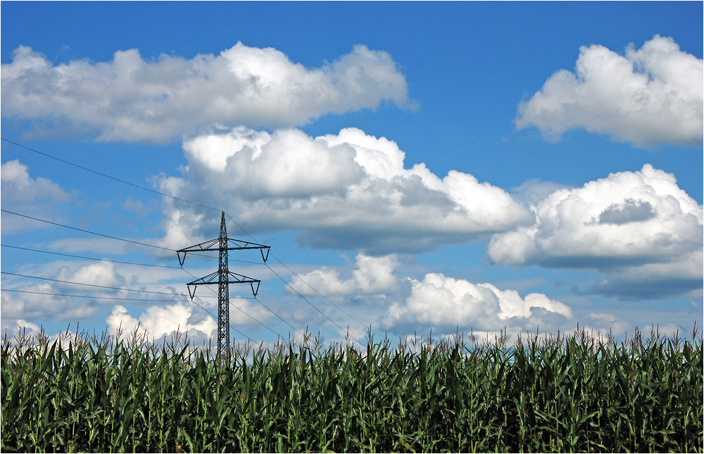 Energiewende mit Hindernissen