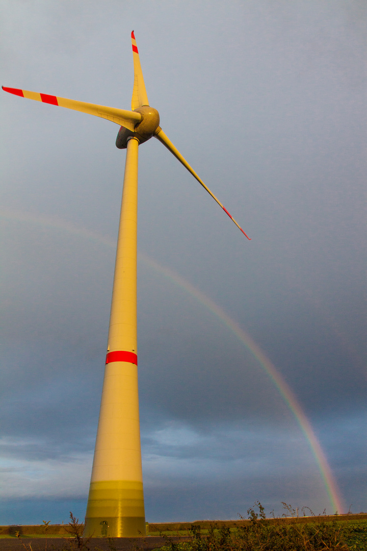 Energiewende und die Natur