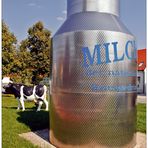 Energydrink MILCH