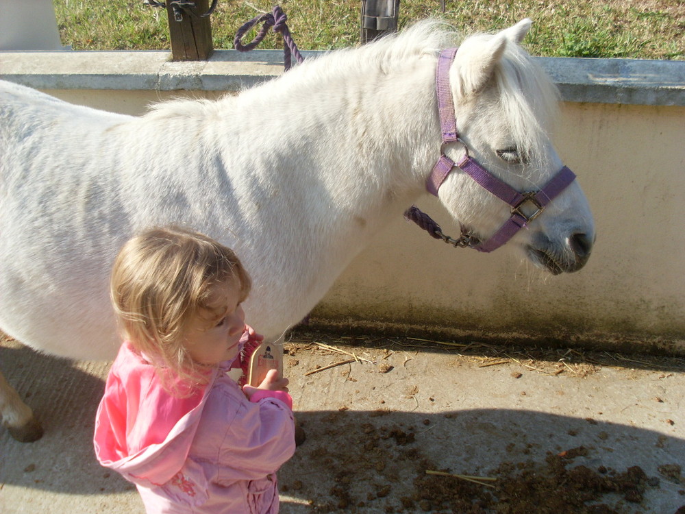 enfant au poney