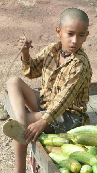 Enfant du Monde ( Inde )