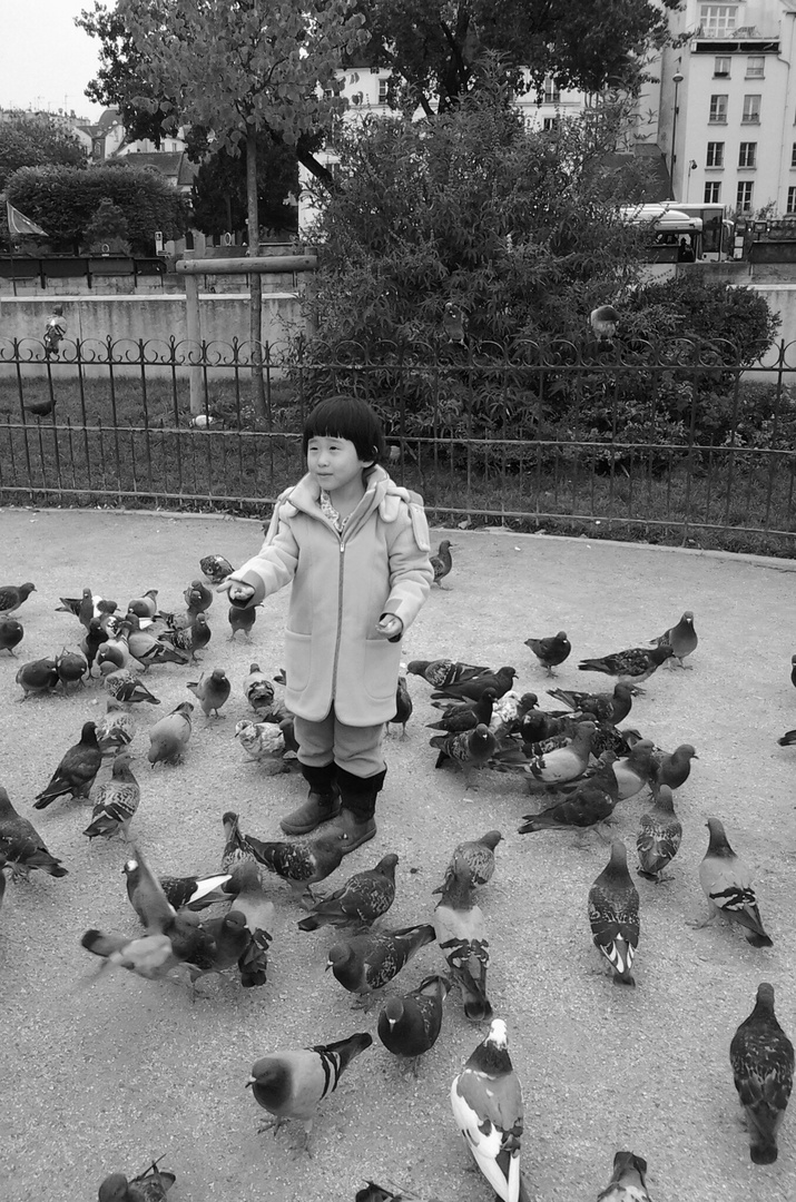 enfant pigeons