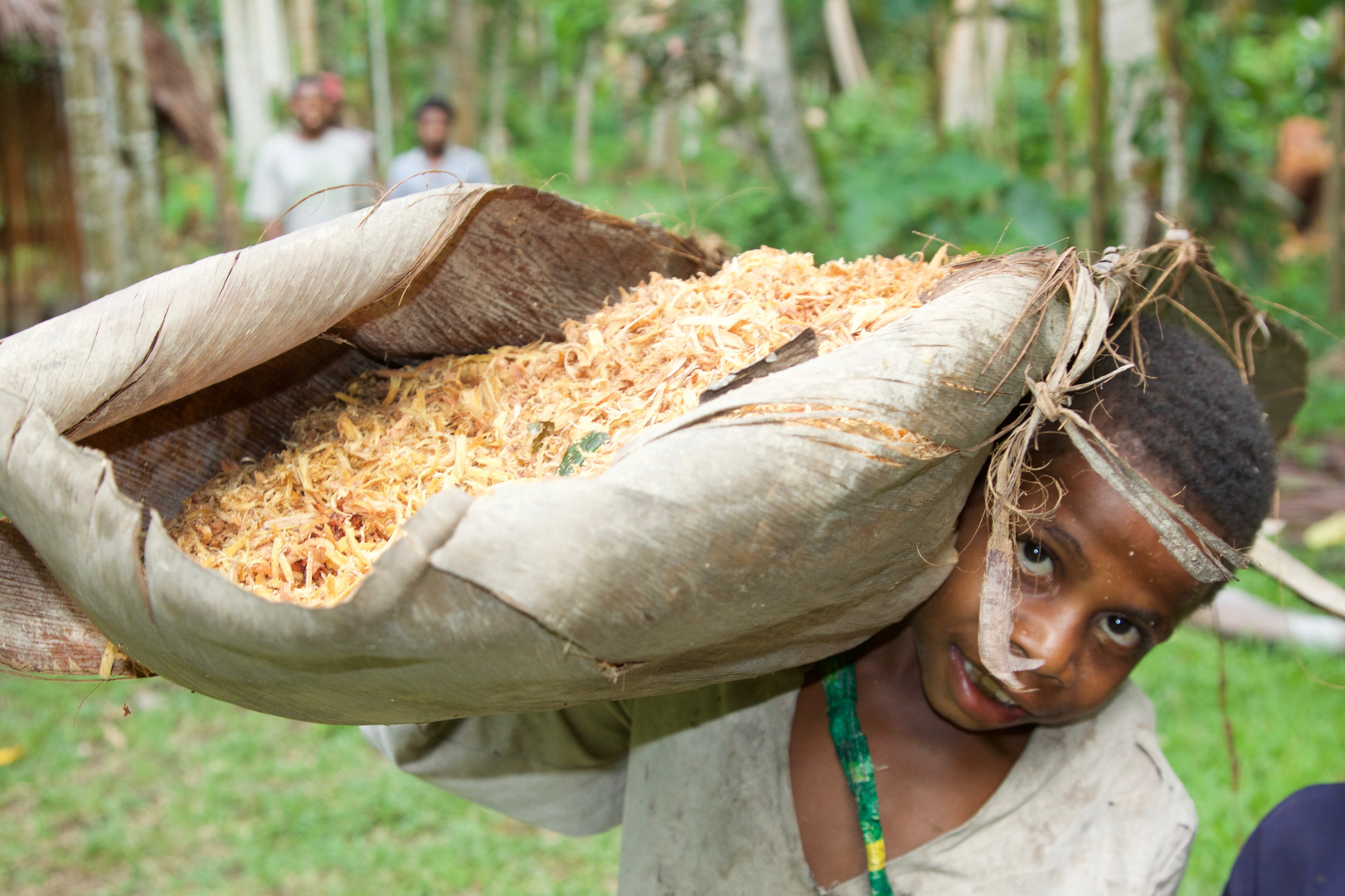 Enfant ( Région du Fleuve Sepik )