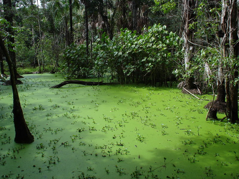 enfer vert