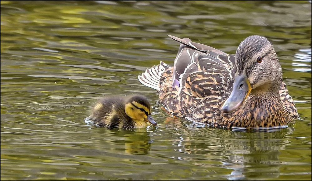 Enfin avec maman!