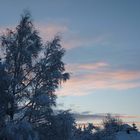 Enfin de la neige à NÖEL!!!