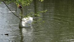 ..enfin un peu de verdure.......Endlich etwas Grün