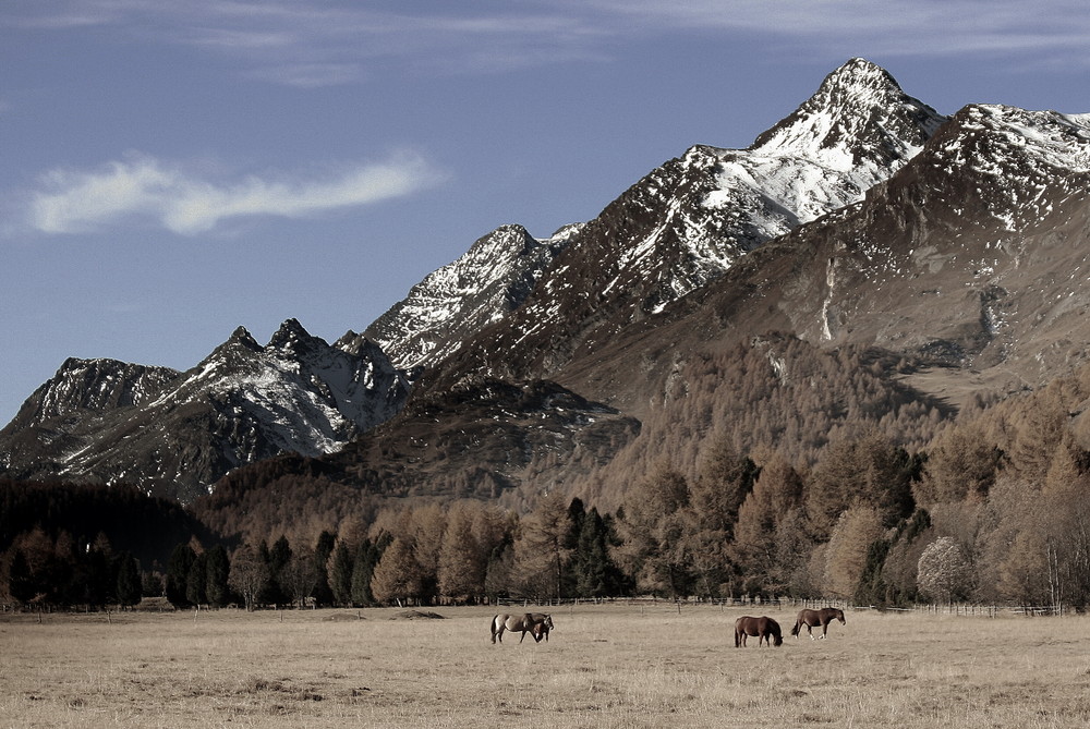 Engadin