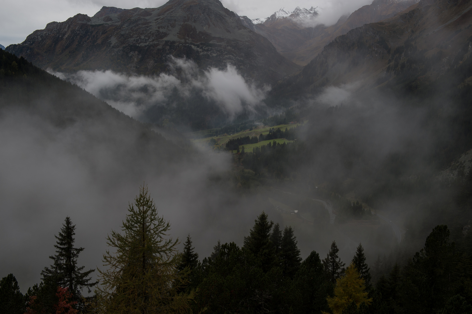 Engadin                                             DSC_2963