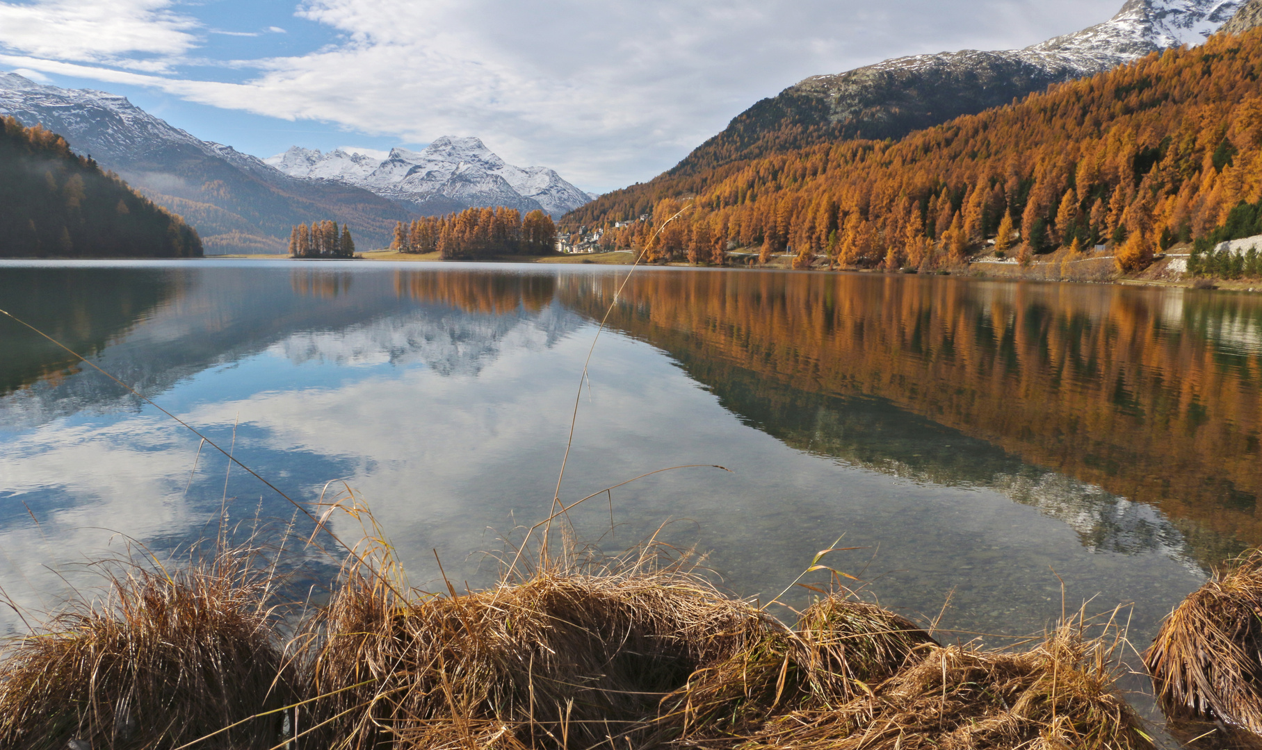 Engadin: goldener Herbst...