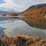 Engadin: goldener Herbst...