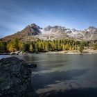 Engadin Herbst (10)