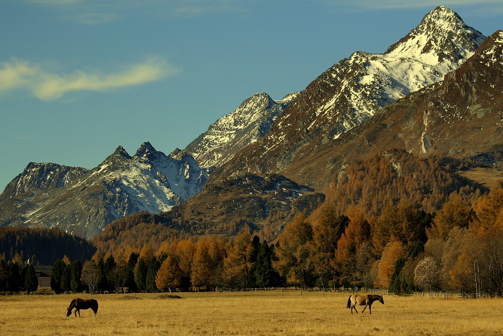 Engadin II