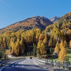 ENGADIN mit Herbstzauberwald