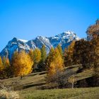 Engadin - Piz Lischana