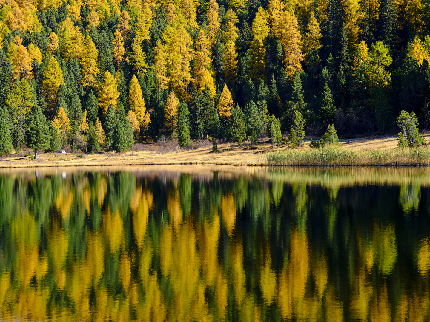 Engadin Reflection 1