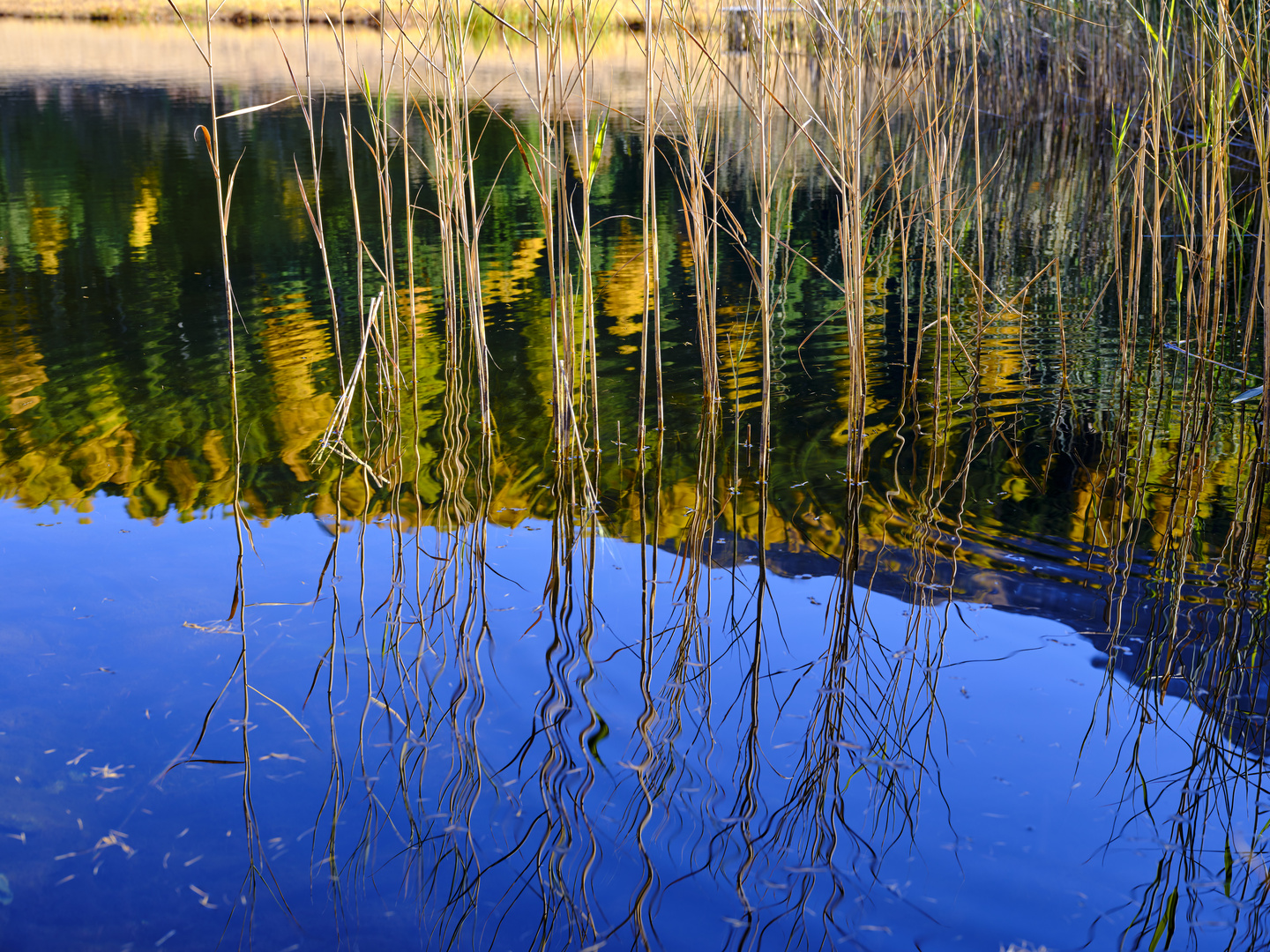 Engadin Reflection  2