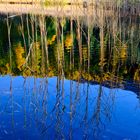 Engadin Reflection  2