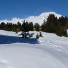 Engadin = und sein blauer Himmel / y su cielo azul / et son ciel bleu...07