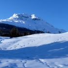 Engadin = und sein blauer Himmel / Y su cielo azul / Et son ciel bleu...17