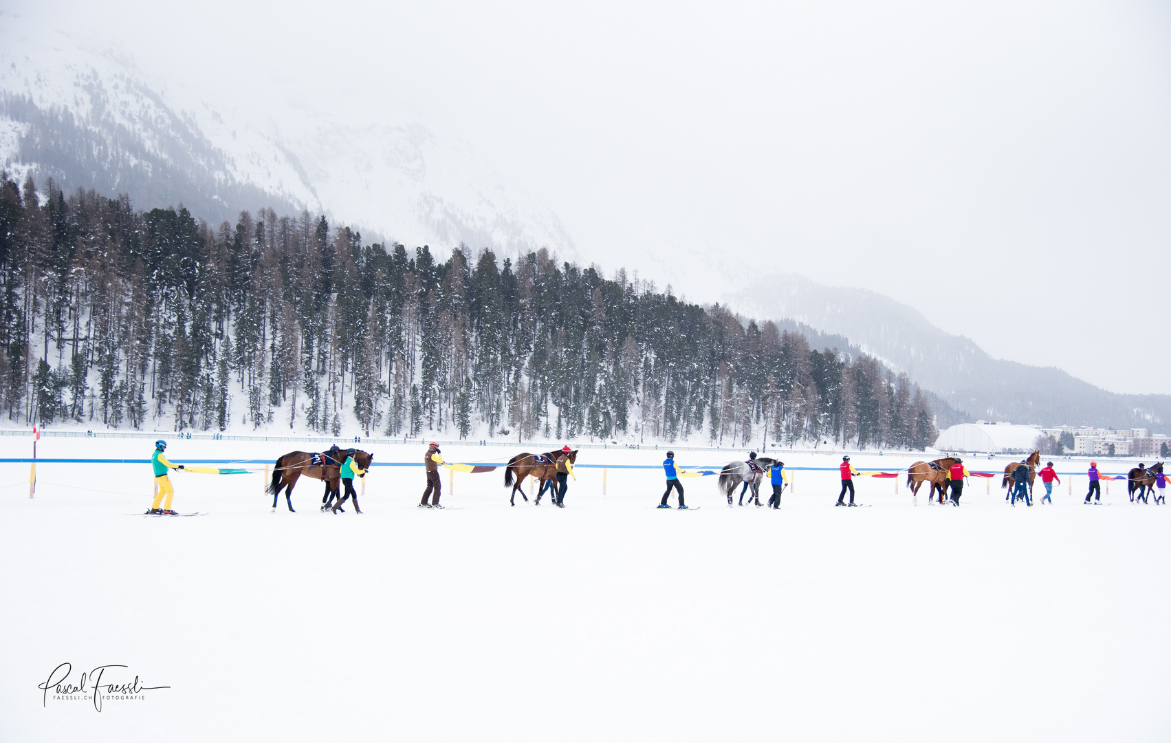 Engadin - White Turf  in St. Moritz