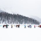 Engadin - White Turf  in St. Moritz