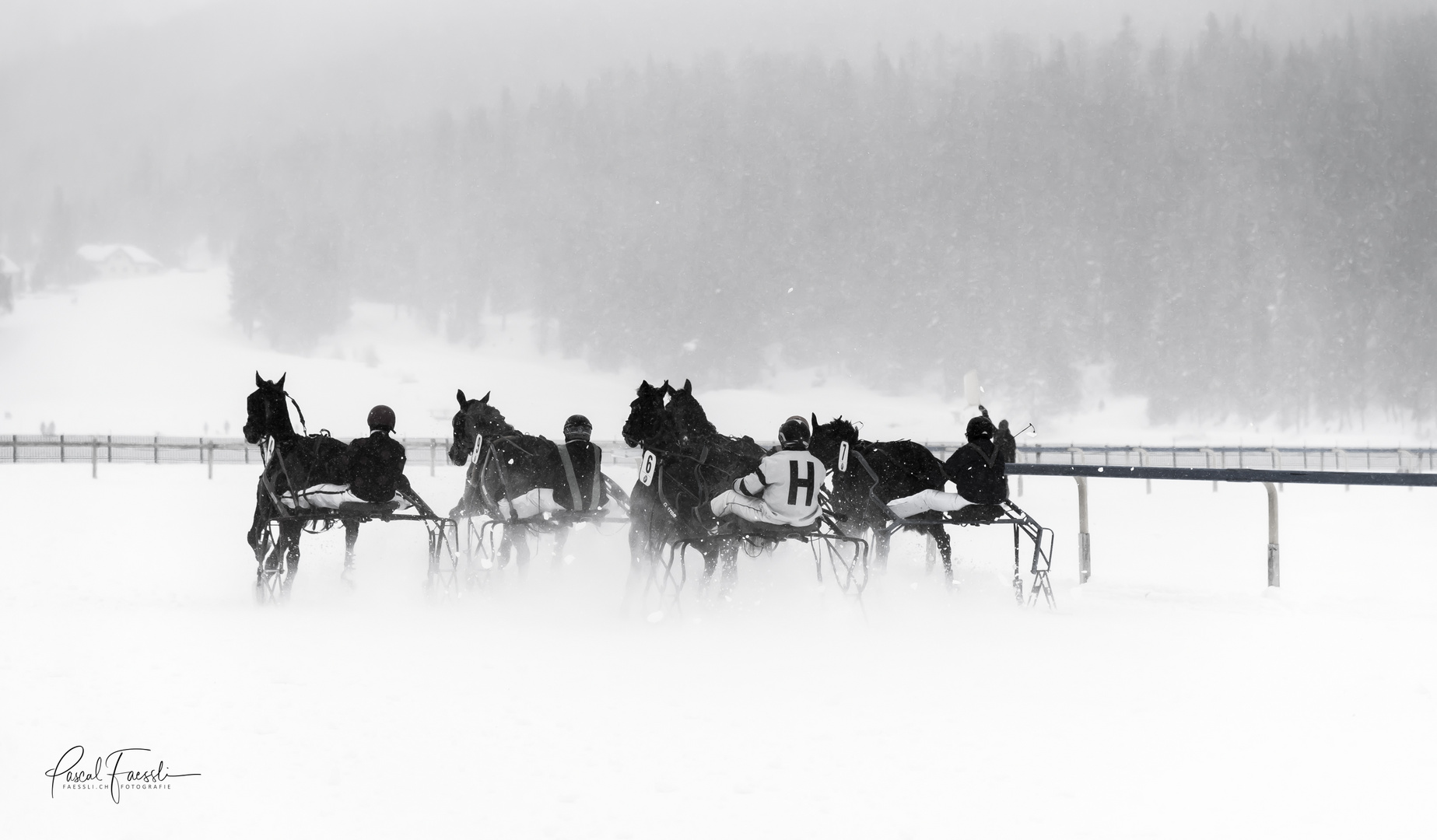 Engadin - White Turf  in St. Moritz